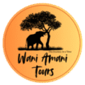 wa original logo black on orange grandient