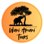 wa original logo black on orange grandient