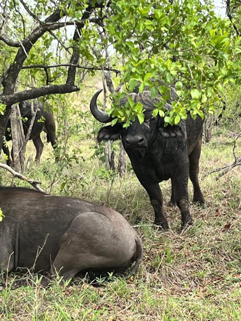 photo 2025 10 27 12 48 15