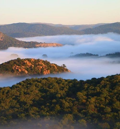 mist above the vaal river